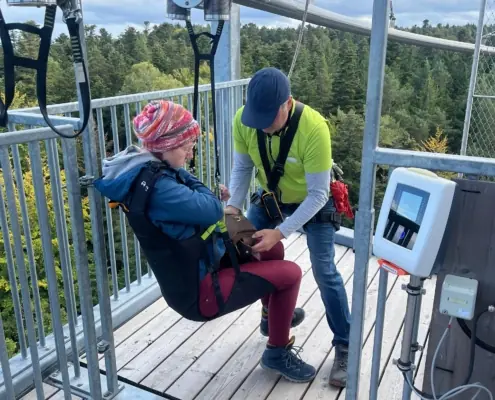 Ein Mitarbeiter des Ausflugsziels "Waldflug" in Schömberg trägt ein hellgrünes T-Shirt und schnallt Rika auf einer Aussichtsplattform in einem Sitz der Attraktion "Flyline" an.